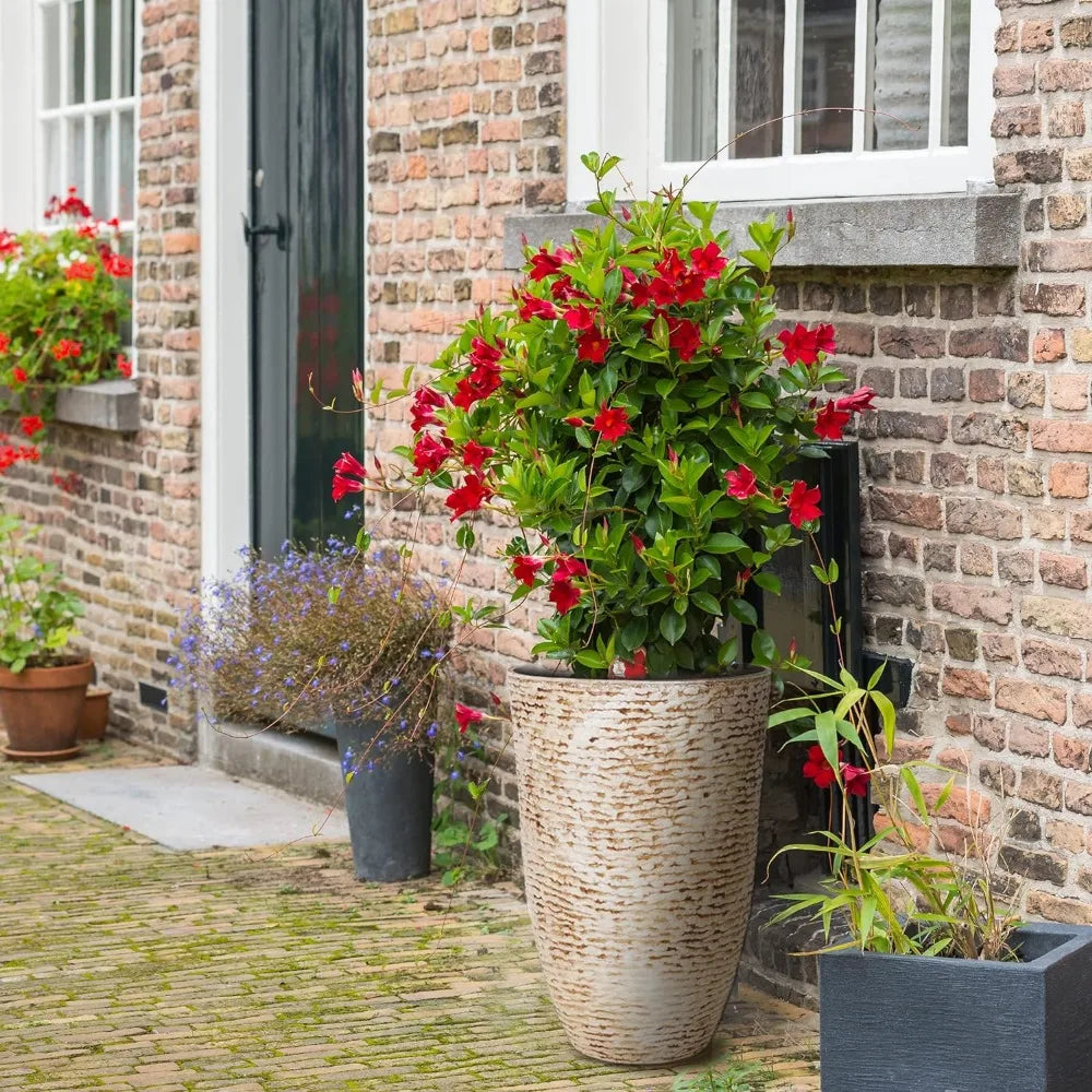 Indoor out door Decorative Container  Pot